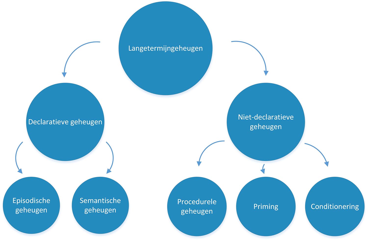 Een overzicht van het langetermijngeheugen