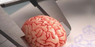 WPPSI intelligentietest