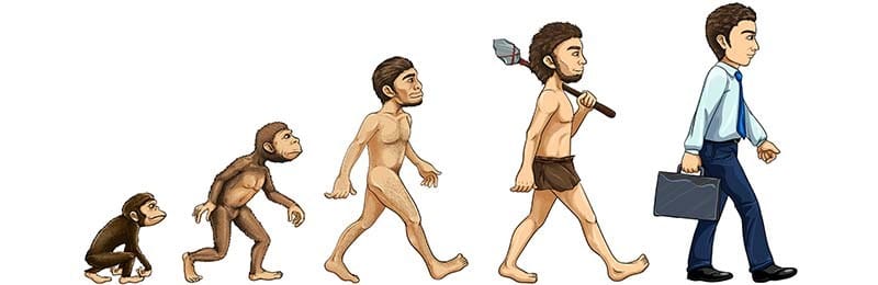De evolutie van de mens