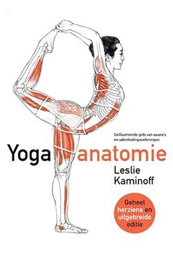 Yoga anatomie