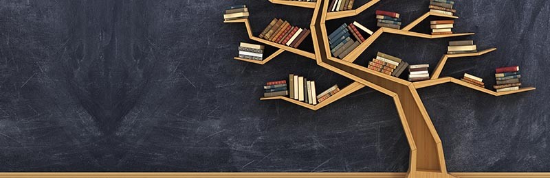 boeken over mindmapping