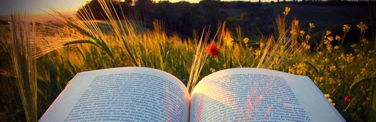 Top 10 beste psychologie boeken 2024