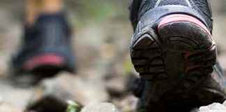 gemiddelde wandelsnelheid