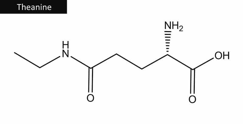 Molecuulmodel van L-Theanine