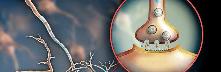 Serotonine