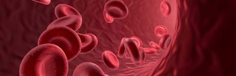 Bloedarmoede, autisme en ADHD