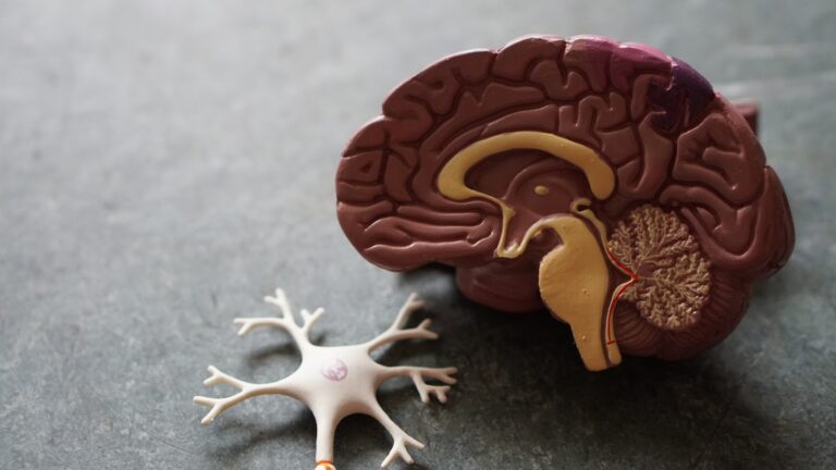 Hoe kun je een dopamine tekort vaststellen?