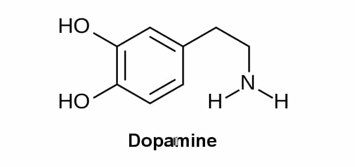 Wat is een dopamine neurotransmitter