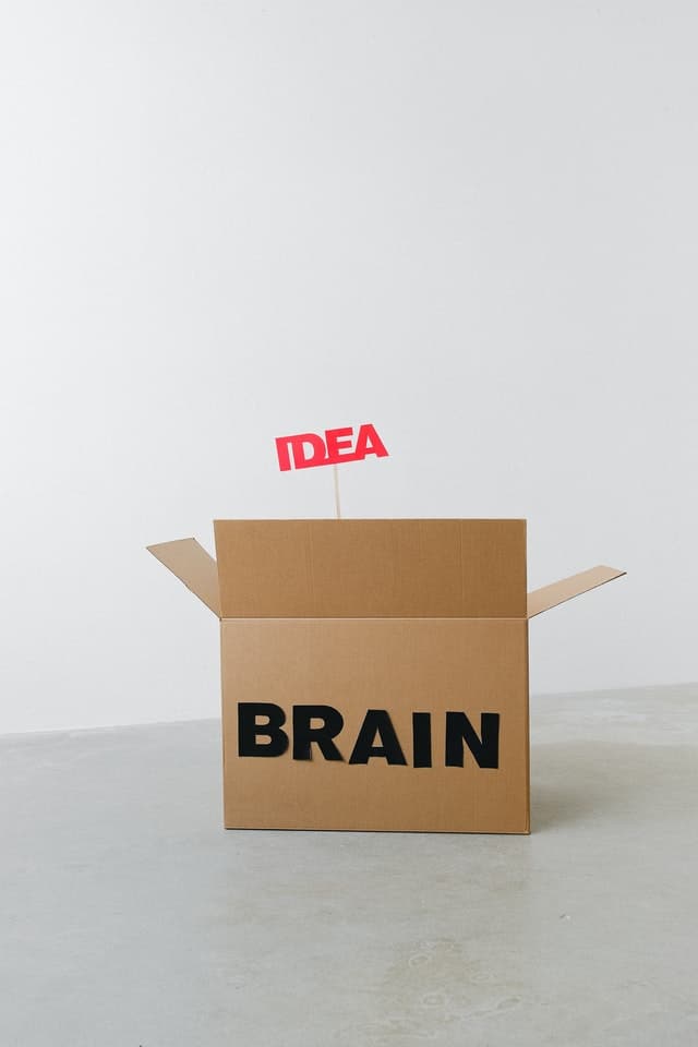 Intelligentie kan altijd worden verbeterd